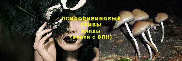 ешки Абаза