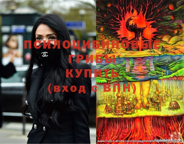 ешки Абаза