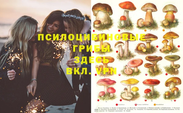 ешки Абаза